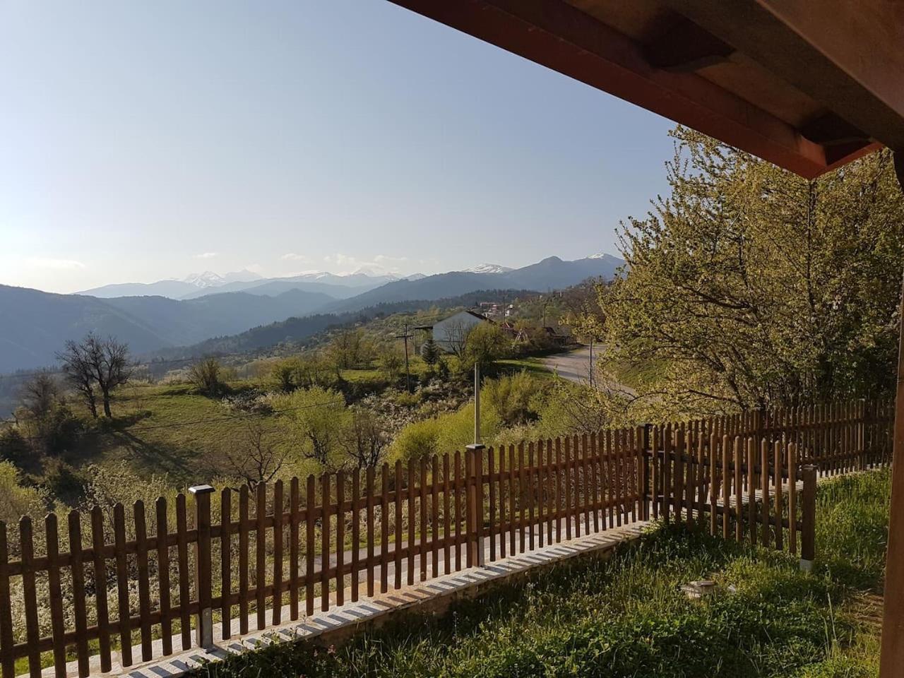Morchella MushROOM pet-friendly hotel Pelasgia
