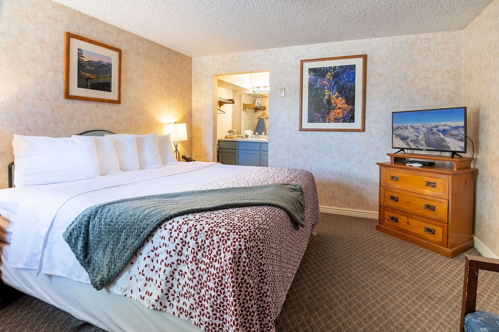 Swiss Alps Inn - photo 13