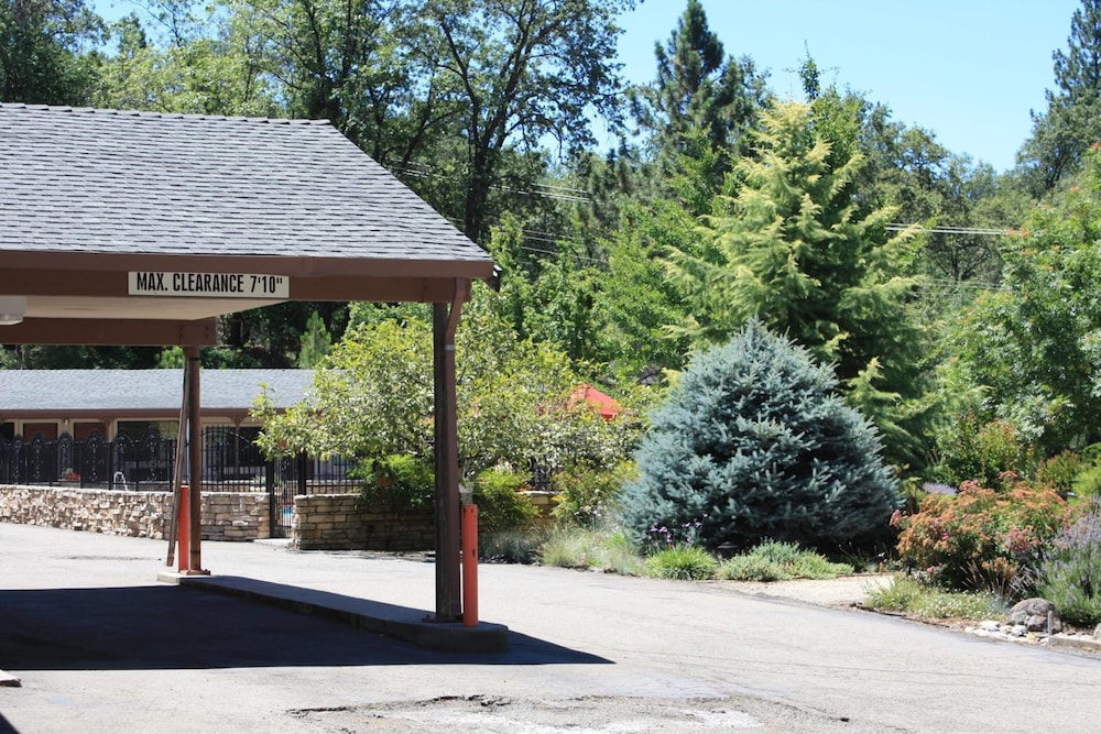 Mother Lode Motel - photo 43