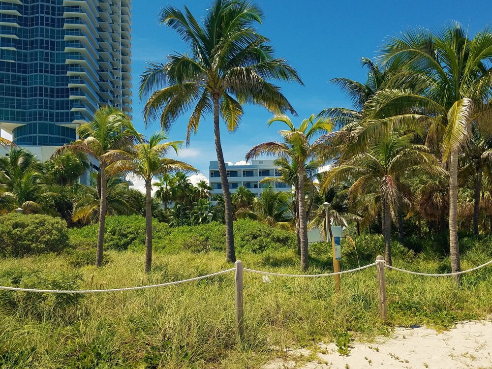 Seagull Hotel Miami Beach - photo 37