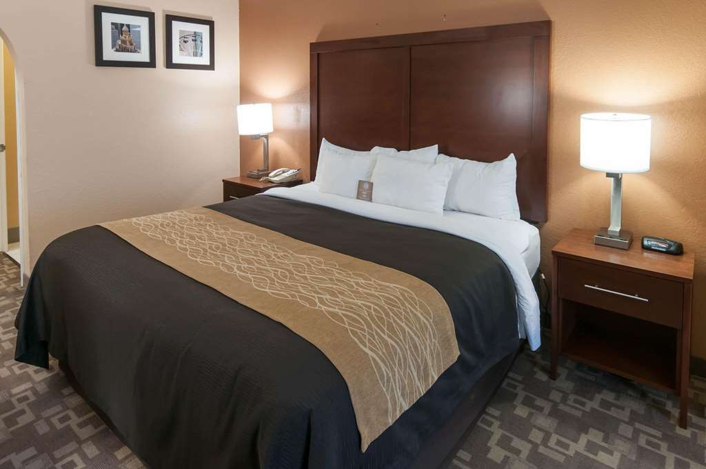 Comfort Inn North Conroe - photo 10