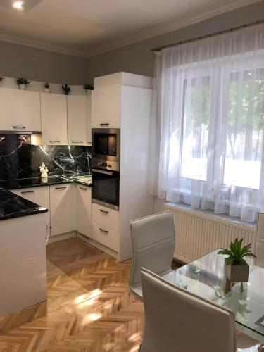 Cactus Apartment — Szeged — photo 3