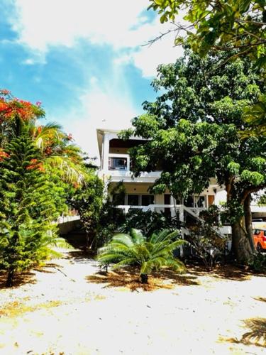 Villa baobab — Antsiranana — photo 3