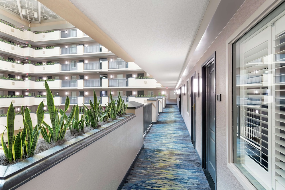 Embassy Suites by Hilton Orlando Airport - photo 3