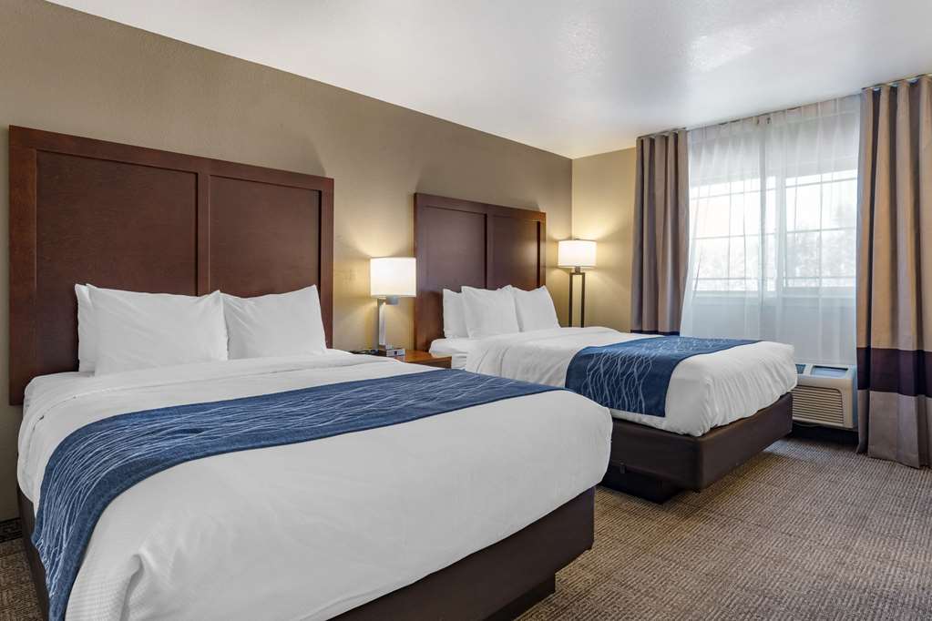 Comfort Inn & Suites Ukiah Mendocino County - photo 12