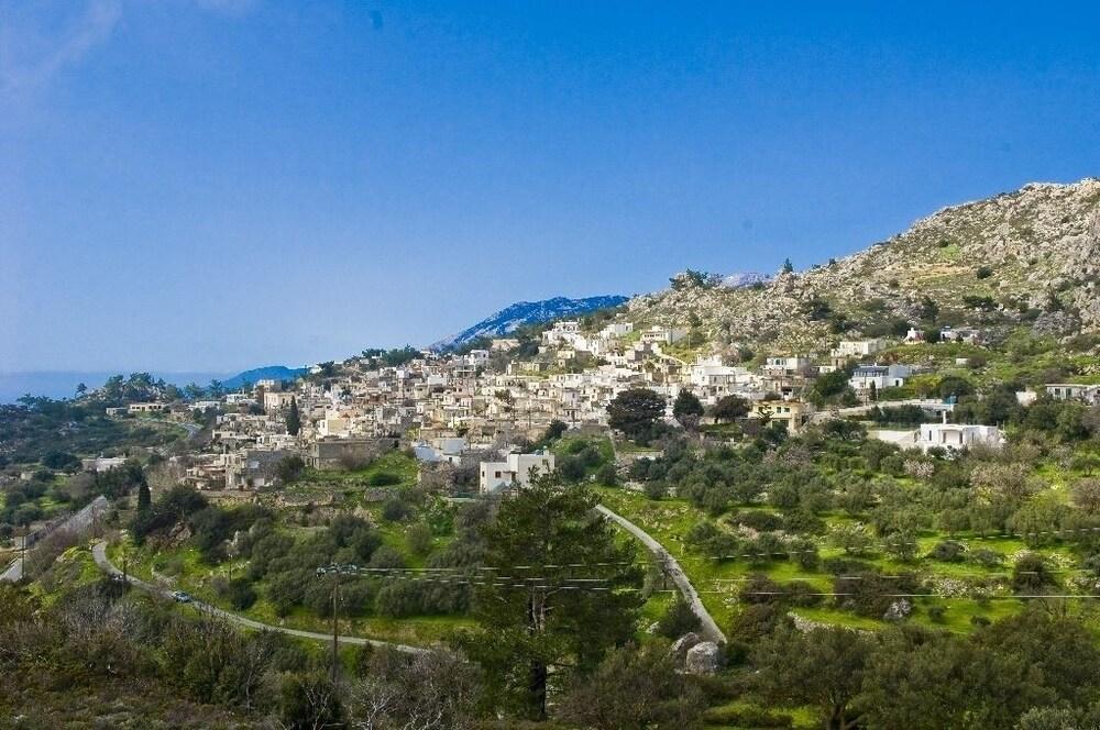 Ariadni Traditional Villas — Anatoli — photo 4