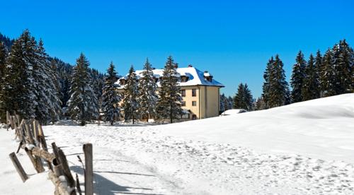 Hotel Vezzena — Levico Terme — photo 5