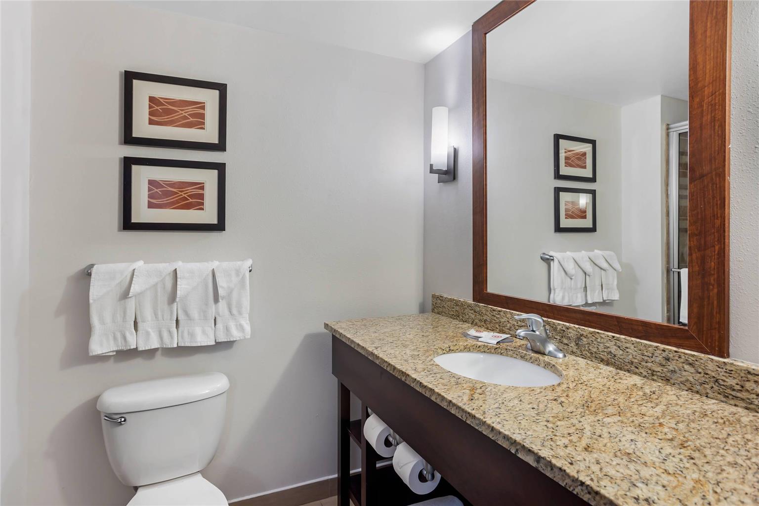 Comfort Inn & Suites Sayre - photo 19