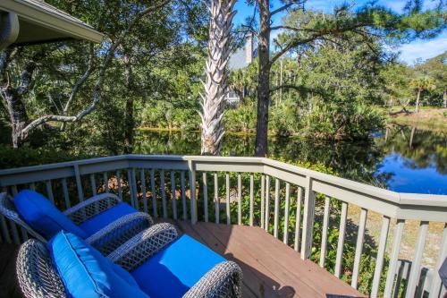 Surfscoter in Kiawah Island, United States