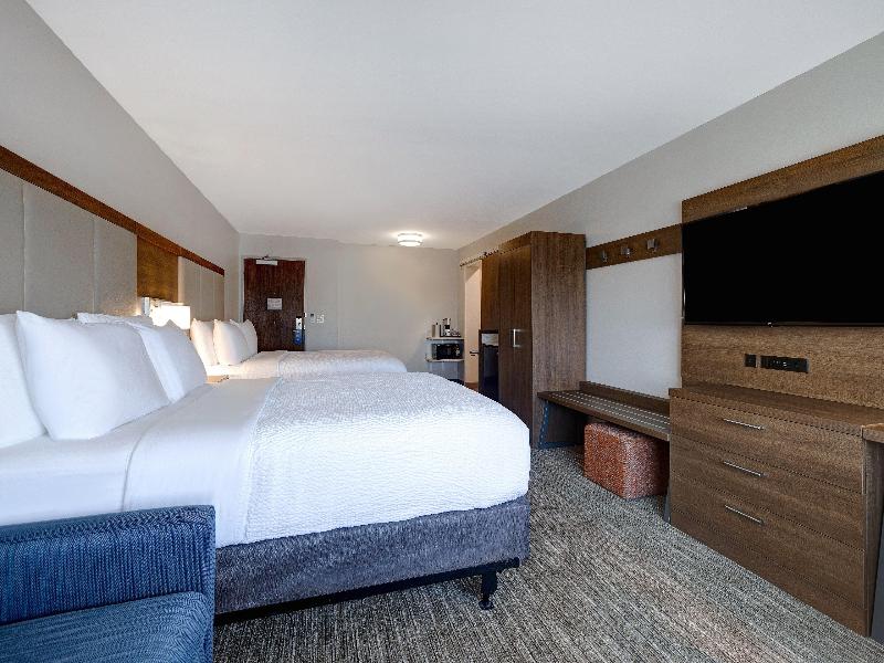 Holiday Inn Express & Suites Ann Arbor University South by IHG - photo 59