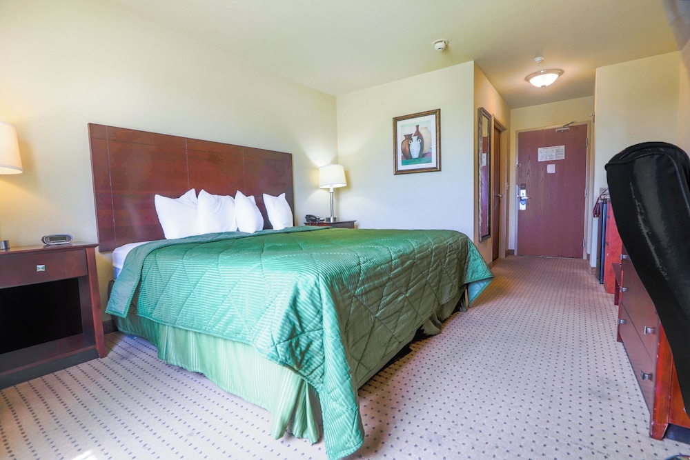 Evansville Inn & Suites By OYO - photo 11