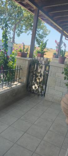 Rodiola House — Afytos — photo 3