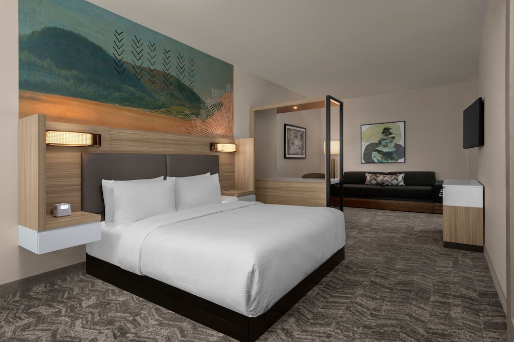 SpringHill Suites by Marriott Chula Vista Eastlake - photo 5