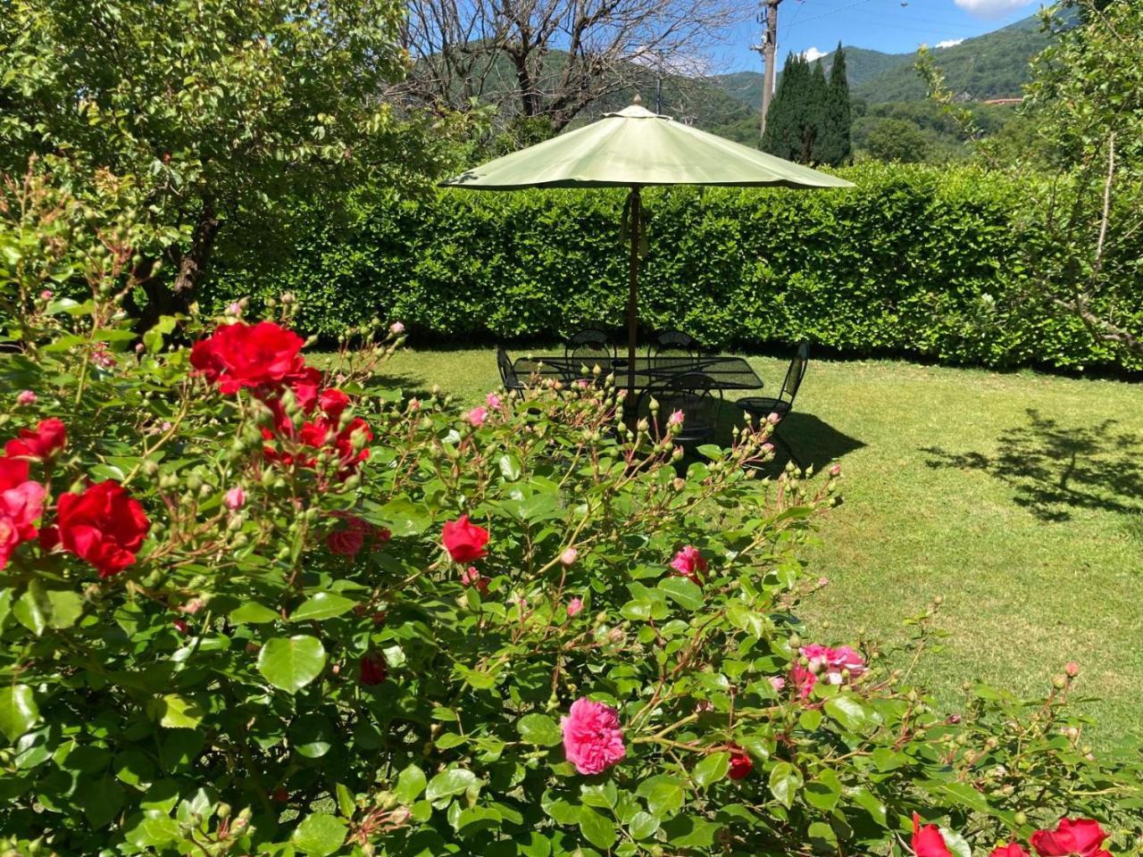 La Ca del Bicc — hotel in Luino