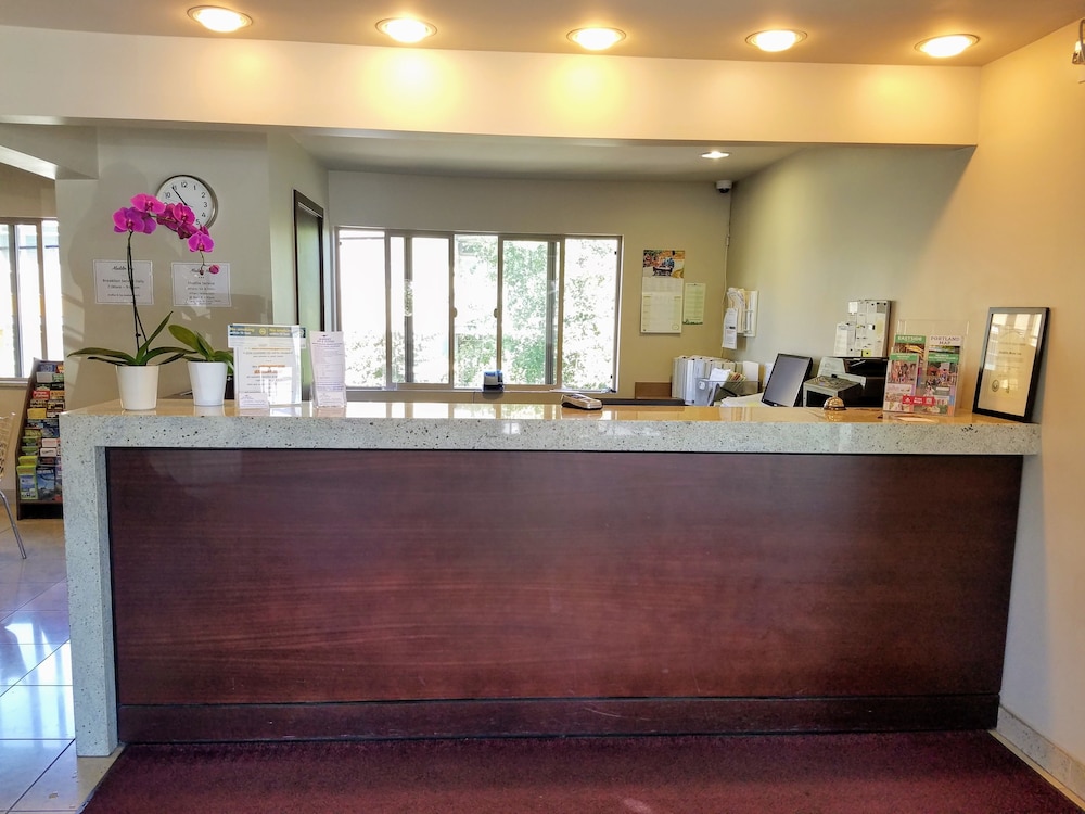 Aladdin Inn & Suites - photo 3