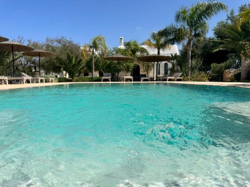 Palais Bleu Nomade Essaouira in Unknown City, Morocco