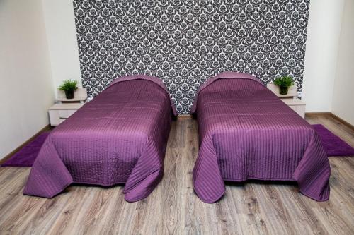 Hotel Forest — Veshenskaya — photo 2