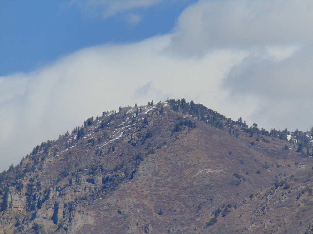 Holiday Inn Express & Suites Springville South Provo Area by IHG - photo 33