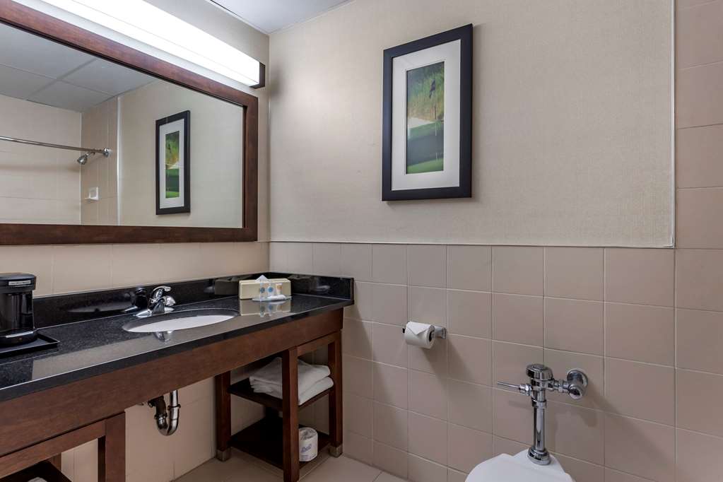 Comfort Inn Syosset Long Island - photo 20