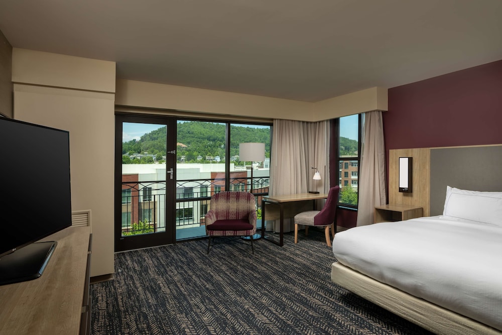 Hilton Asheville Biltmore Park - photo 34