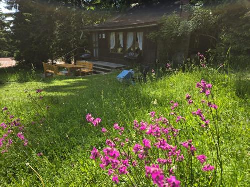 Chata 2 na Poľane in Hrinova, Slovakia