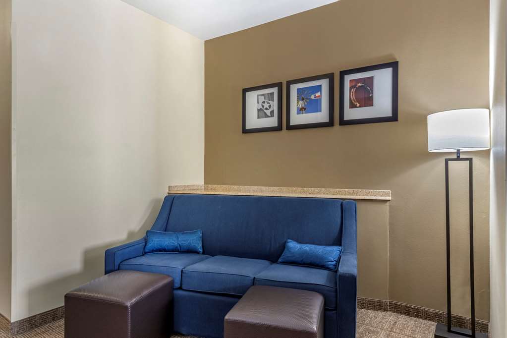 Comfort Suites Buda Austin South - photo 16