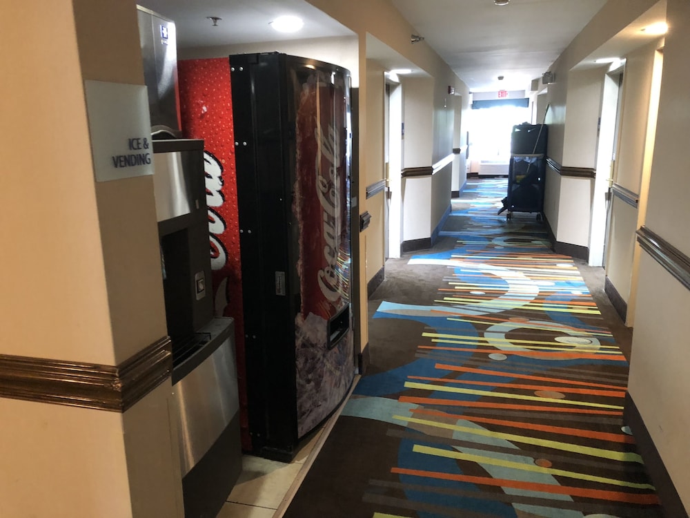 Country Inn & Suites by Radisson Murrells Inlet SC - photo 32