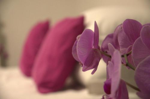 Boschetto49 — 4-Star Luxury Hotel in Rome, Italy
