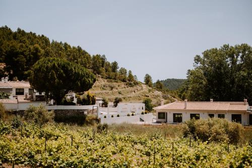Finca Seguró Bodega - last minute hotel in Sella