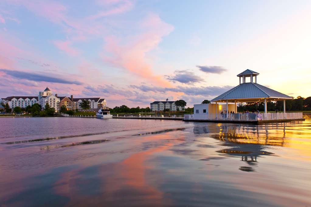 Hyatt Regency Chesapeake Bay - photo 21