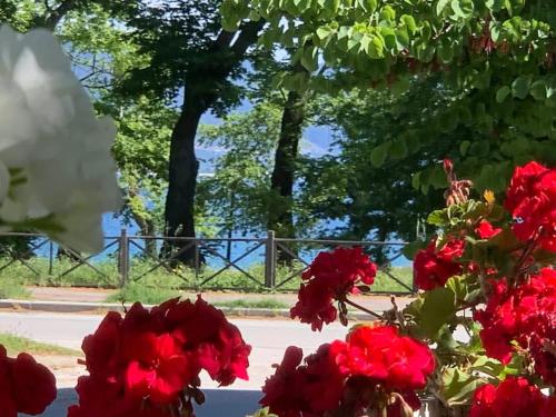 Yalos Studio in Stavros, Greece