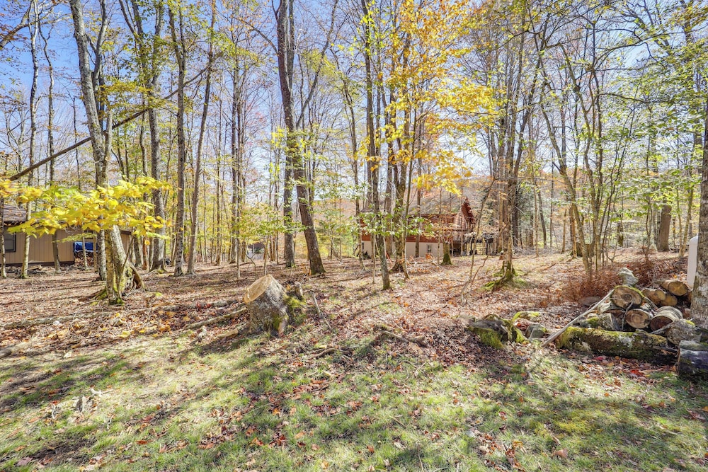 Hike & Bike in Beech Mtn Resort: Pet friendly Home - photo 30