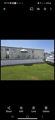 Sherwood golden palm in Chapel Saint Leonards, United Kingdom