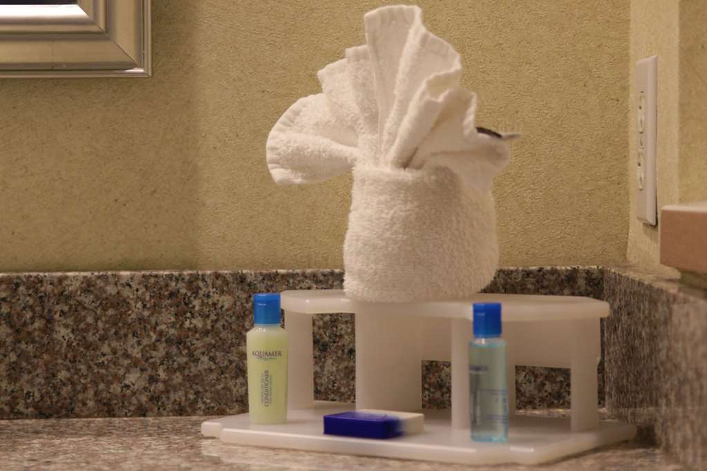 Best Western Galleria Inn & Suites - photo 21