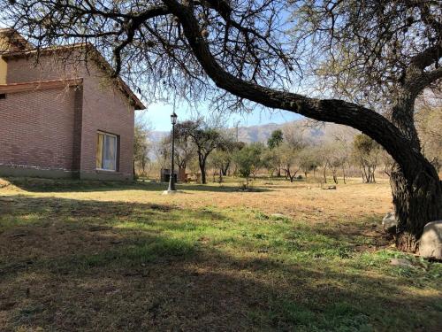 Antiguo Molle — Merlo — photo 2
