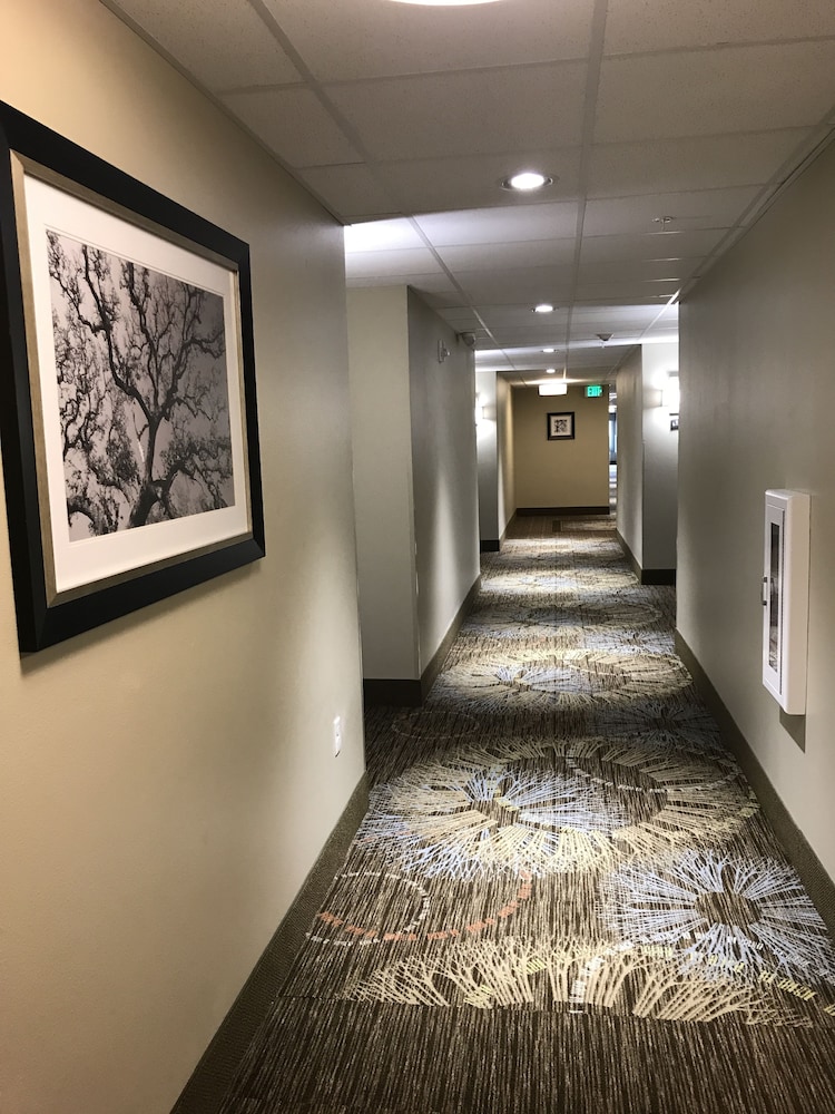Staybridge Suites Madison Fitchburg - photo 90