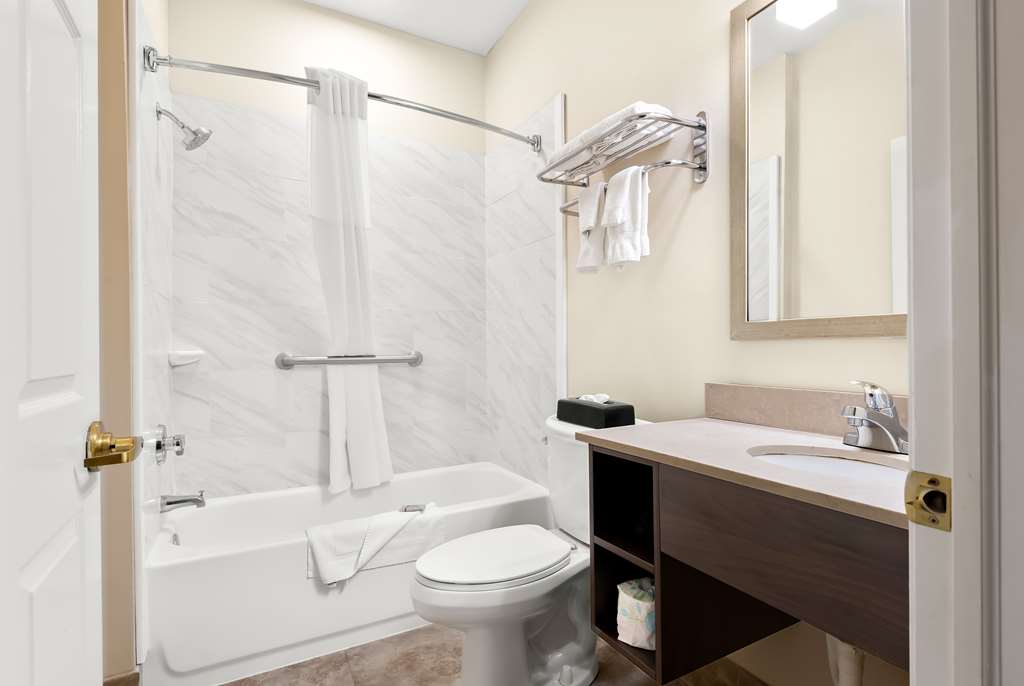 Best Western Palmyra Inn & Suites - photo 33