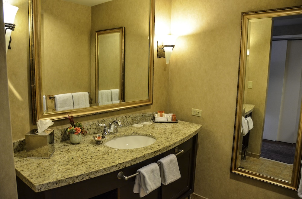 Four Winds Casino Resort New Buffalo - photo 18