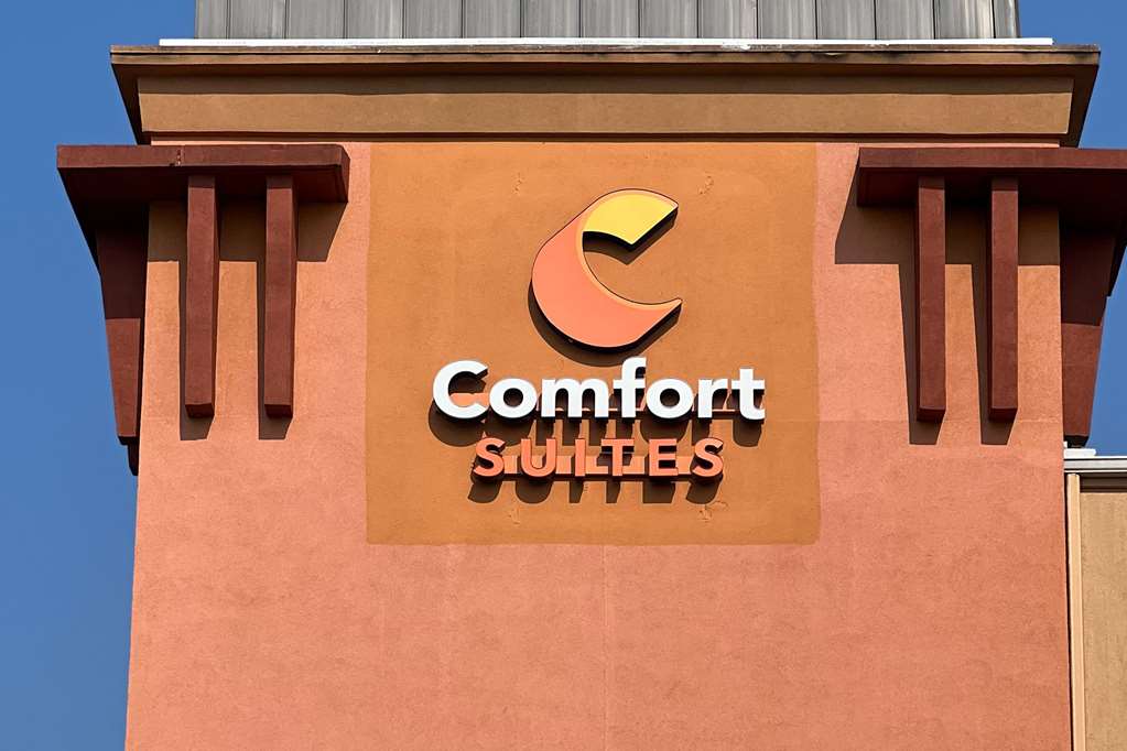 Comfort Suites Seaford - photo 4