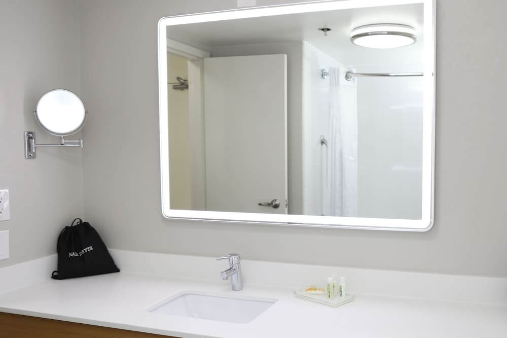 Holiday Inn Chicago O'Hare Area by IHG - photo 42