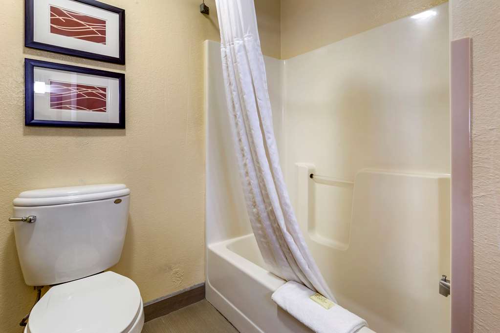 Comfort Inn & Suites North Aurora Naperville - photo 8