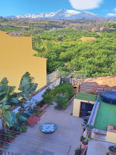 Limoneto Etna View in Giarre, Italy