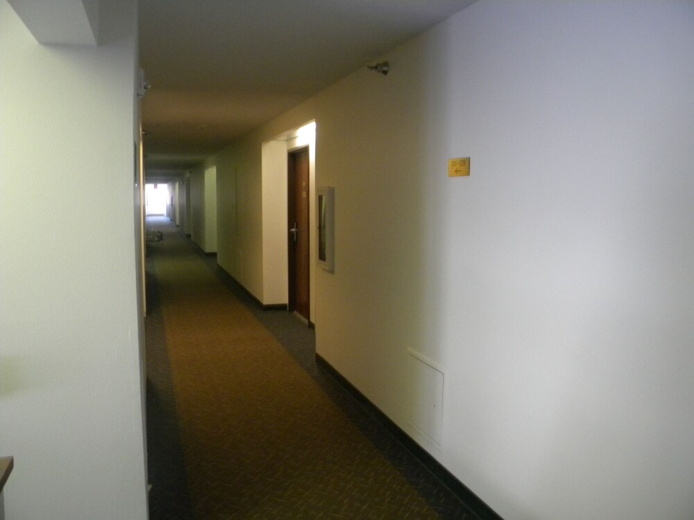 Nisswa Hotel and Suites - photo 83