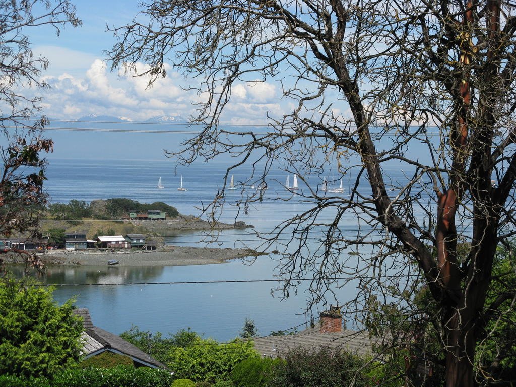 A Boutique Artful Suite — 5-Star Luxury Hotel in Nanaimo, Canada