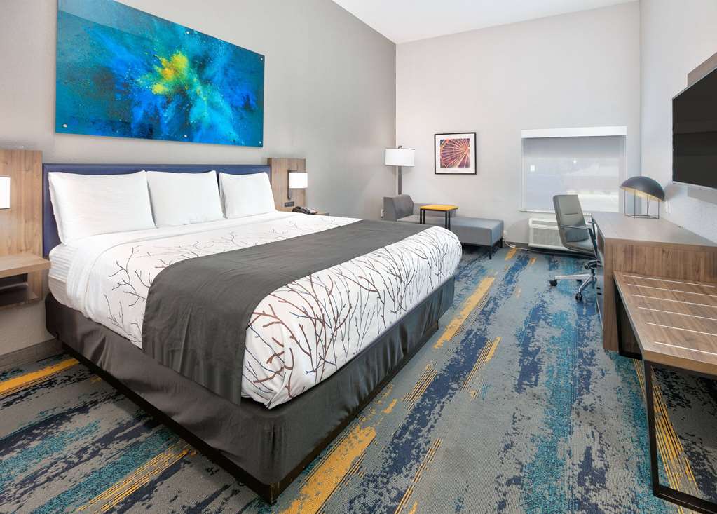 La Quinta Inn & Suites by Wyndham Dallas Fairpark - photo 42