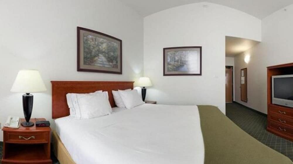 Holiday Inn Express Hotel & Suites Rockford Loves Park by IHG - photo 8