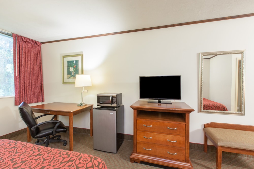 Schenectady Inn & Suites - photo 6
