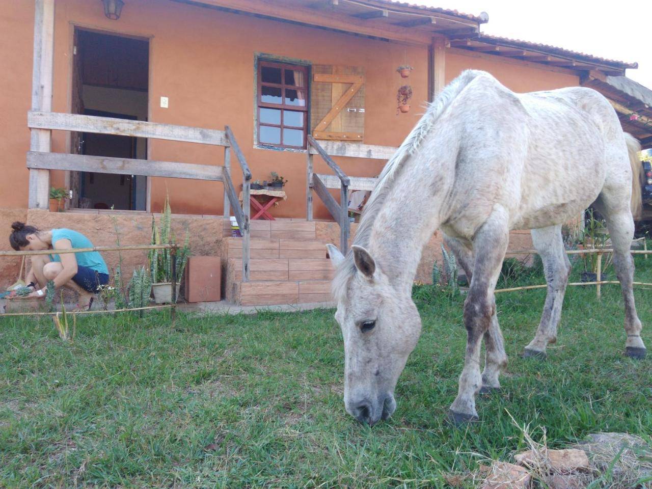 Sítiio São Miguel projeto agroecológico — hotel in Caconde