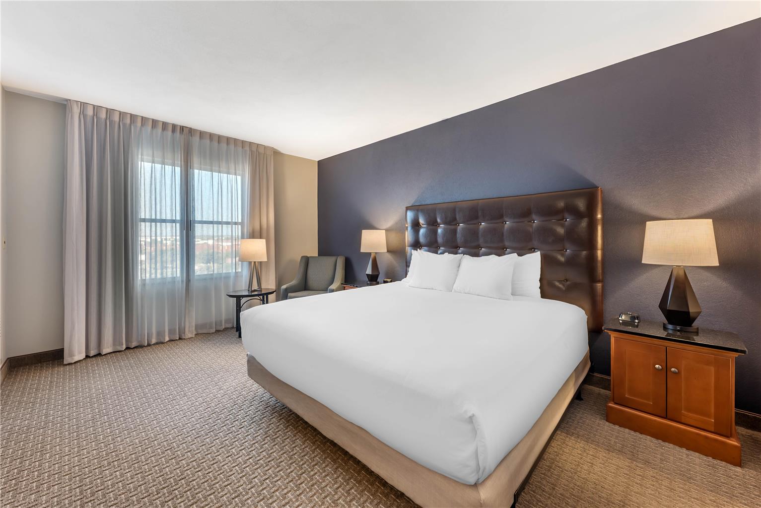 Drury Plaza Hotel San Antonio North Stone Oak - photo 22