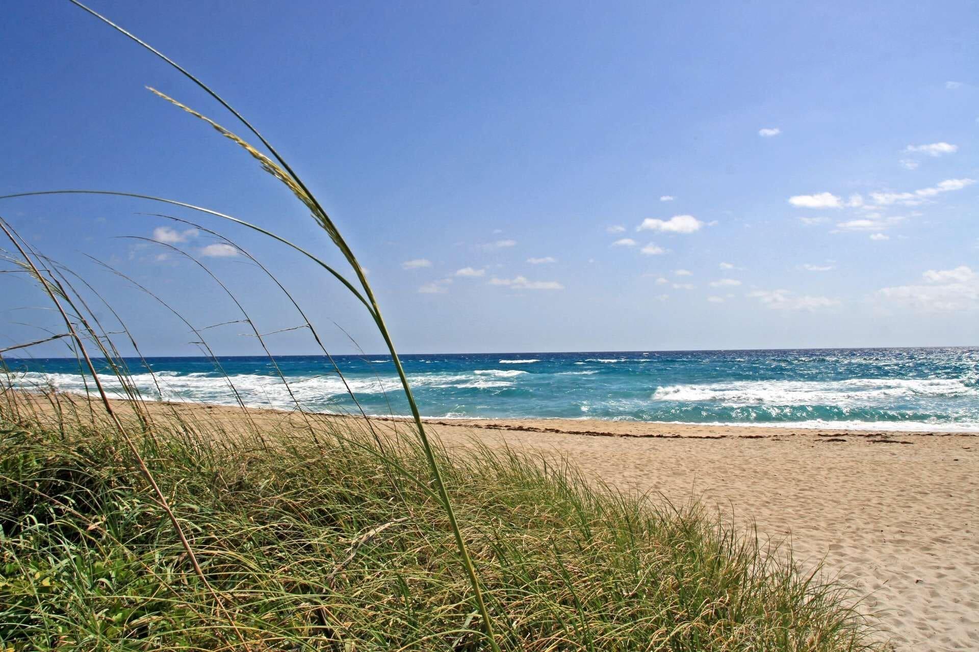 Southwind by iTrip Palm Beach - photo 5